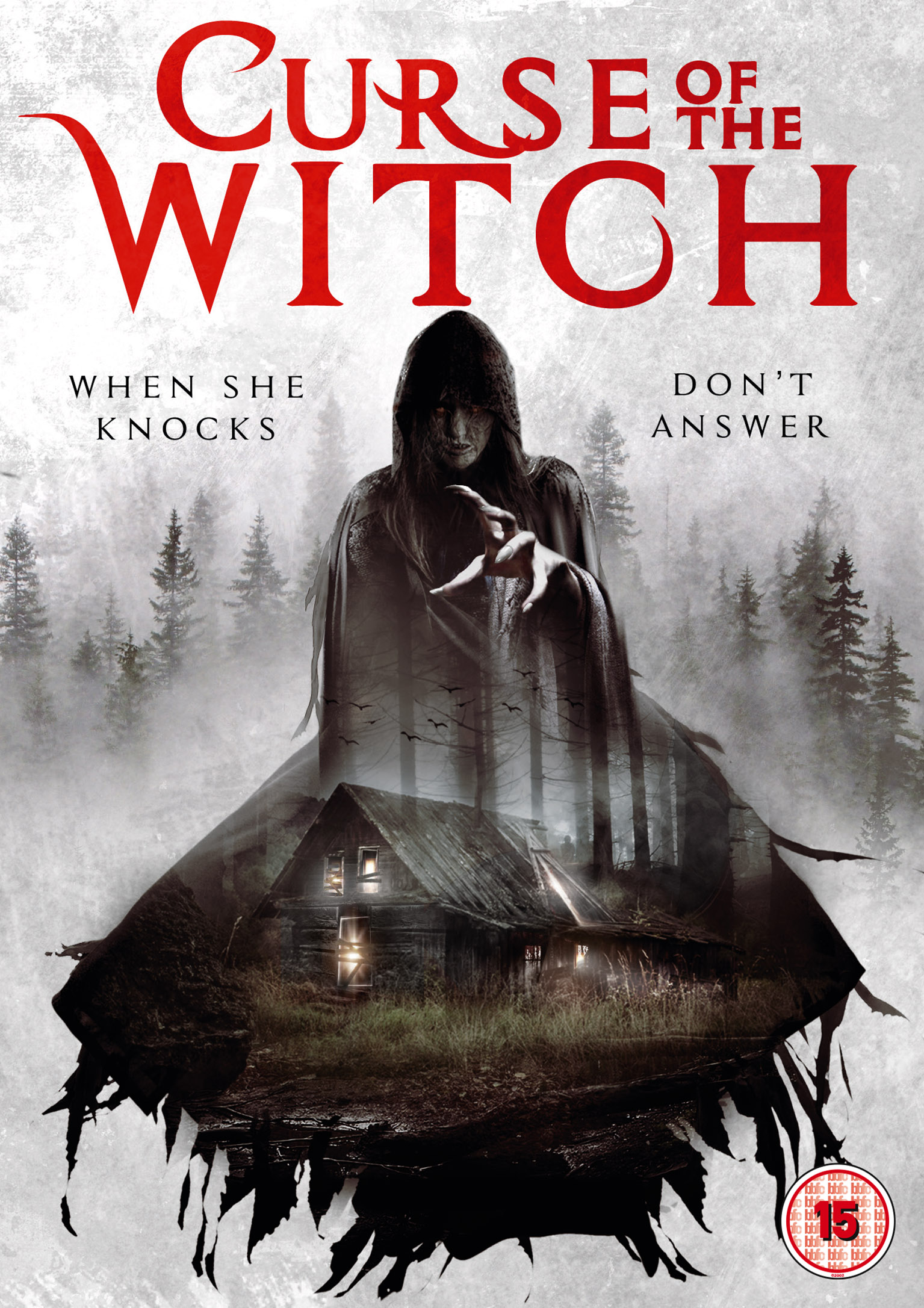 Never grave the witch and the curse. The Witch. Malefice the Curse of the Witch йен. Ведьма (DVD).